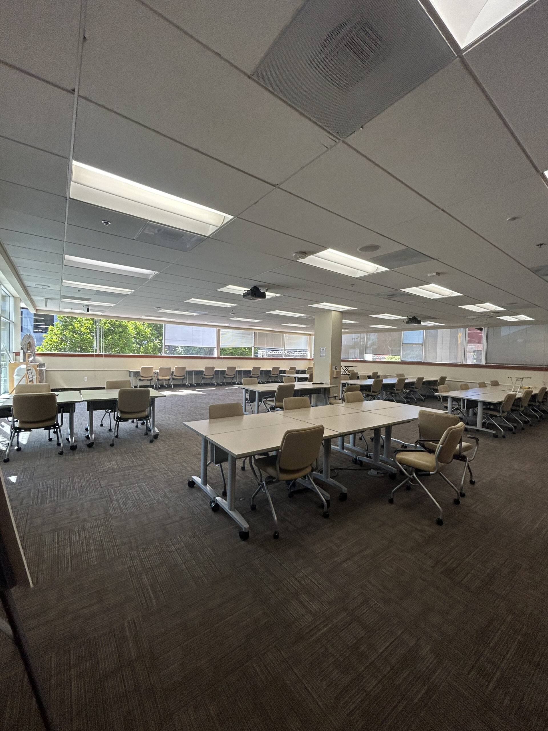 Reading Room in Rains Library